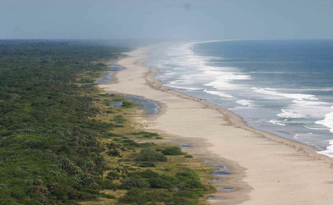 Foto: Archivo/ Cuartoscuro