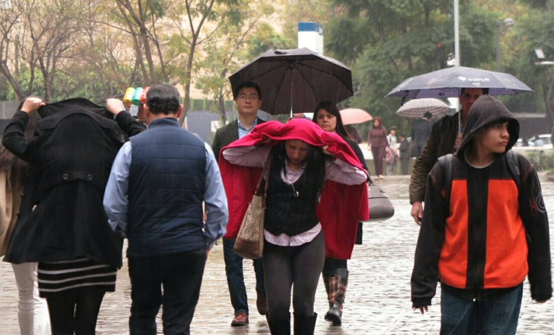Autoridades exhortan a los conductores a utilizar el cinturón de seguridad (Foto: LUIS CORTES EL UNIVERSAL)