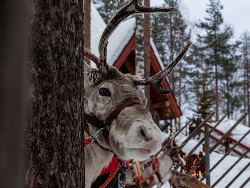 Rovaniemi en Finlandia. Foto: Unsplash