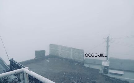 Reportan caída de aguanieve en el Cofre de Perote en Veracruz