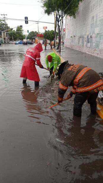 Lluvia en Ecatepec deja anegaciones y caída de árboles y bardas 