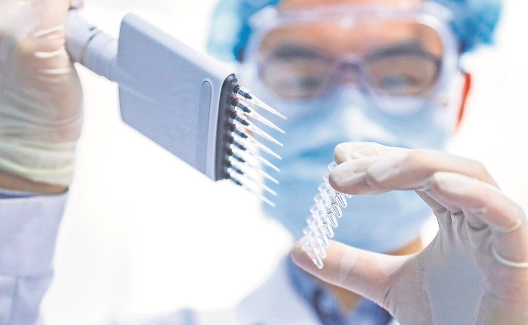 Foto: Xinhua/Zhang Yuwei, archivo