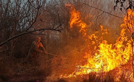 Ejército sofoca 3 incendios forestales en Veracruz; no se reportan lesionados