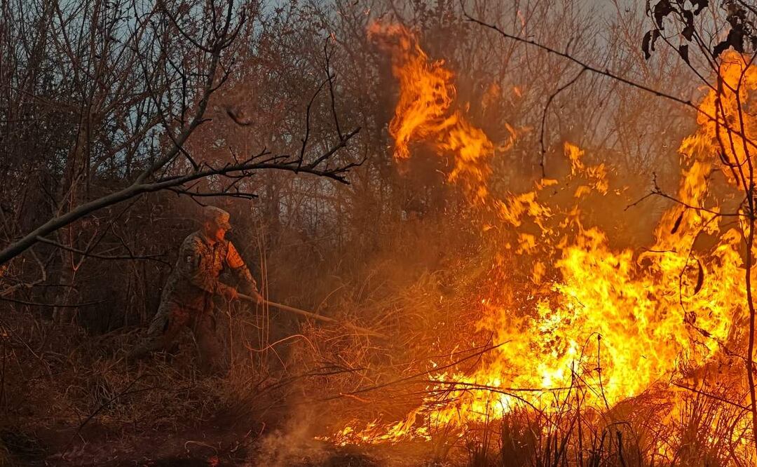 El Ejército aplicó el Plan DN-III-E por los incendios forestales registrados en los municipios de Alamo y Tempoal en Veracruz (22/05/2025). Foto: Especial