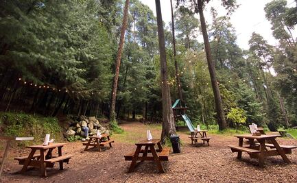 Escápate el fin de semana y come en el bosque