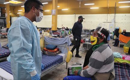 ¿Qué dice la OMS sobre los casos de peste bubónica en el mundo?