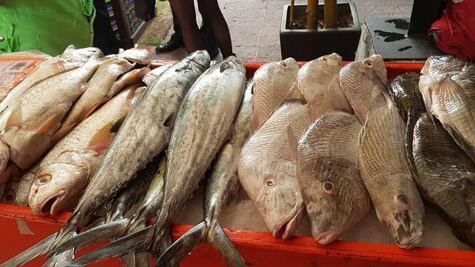 Realizarán feria de pescados y mariscos en Iztapalapa