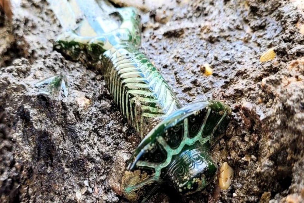 La espada descubierta en la ciudad de Nördlingen, al sur de Alemania, procede de una tumba con abundantes objetos de bronce.