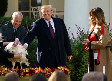 Trump bromea sobre elecciones en Florida durante ceremonia del Perdón del Pavo