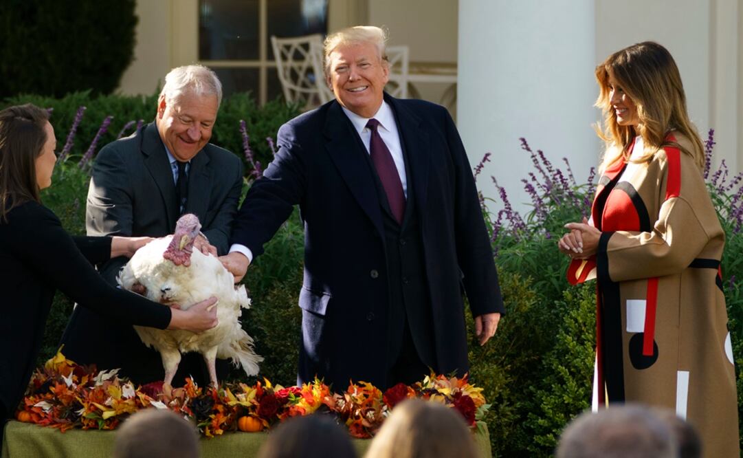 El indulto a pavos es una tradición presidencial que se remonta a años atrás. Foto: AP