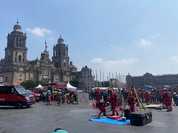 Simulacro Nacional 2024 en el Zócalo: Bomberos, militares y perros de búsqueda realizan acciones de rescate ante hipótesis de sismo