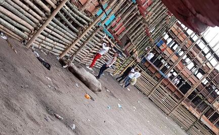 Toro de plaza desplomada en Colombia murió acuchillado y golpeado, revela senadora