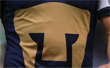 Los Pumas anuncian ocho bajas y cuatro refuerzos para el siguiente torneo