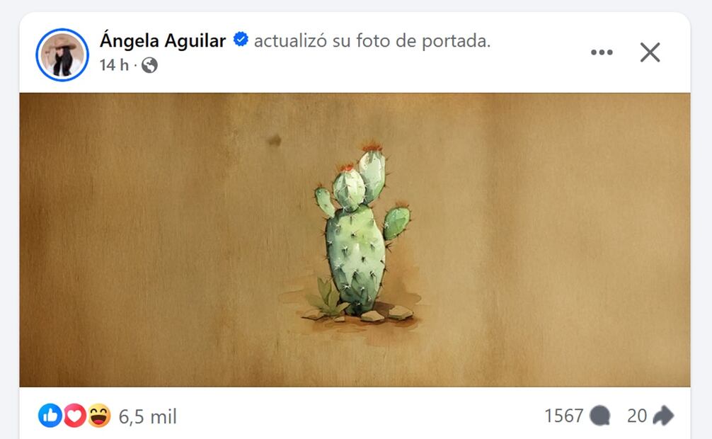 Ángela Aguilar promociona su nueva música en redes, donde no ha dejado de recibir ataques y críticas.