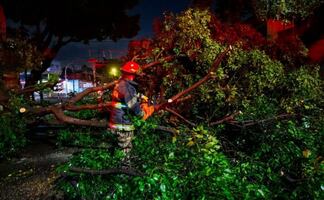 Caen 136 árboles tras tormenta en zona metropolitana de Guadalajara; reportan inundaciones y colapso de bardas y postes