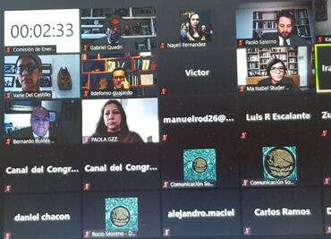 Iniciativa eléctrica de AMLO no tiene lógica, es un capricho, dice Gabriel Quadri