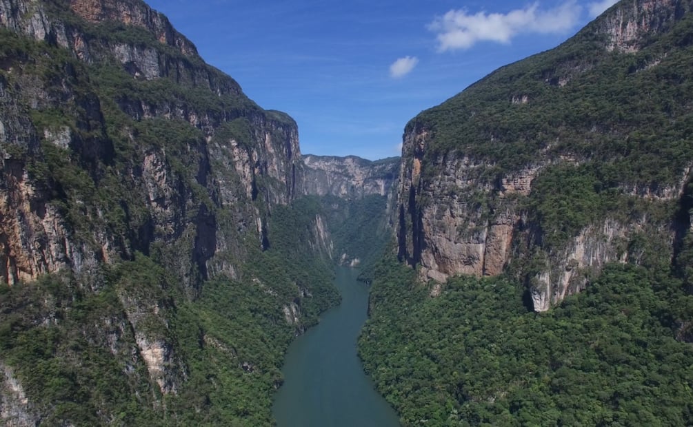 La pareja de monos logró establecerse en la pared oeste del Cañón del Sumidero. | Foto: Especial.