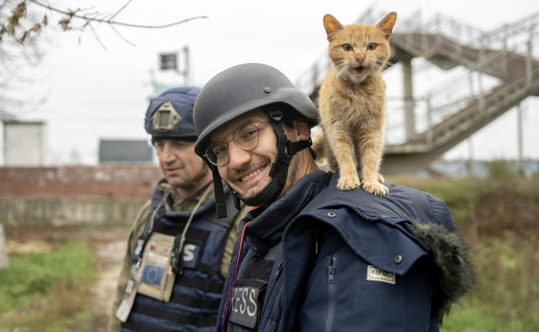 El periodista de Agence France-Presse Arman Soldin sonríe al fotógrafo mientras un gato se para sobre sus hombros en Ucrania. Foto: AP
