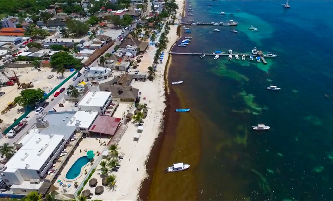 Sargazo en playas de Quintana Roo. Foto: Archivo