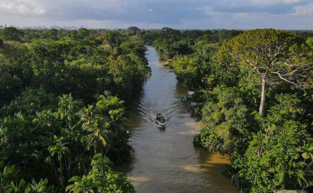 Fotografía aérea de un bote navegando por un río en una zona de la floresta Amazónica, el 6 de agosto de 2023, en el estado de Pará, norte de Brasil. Foto: EFE
