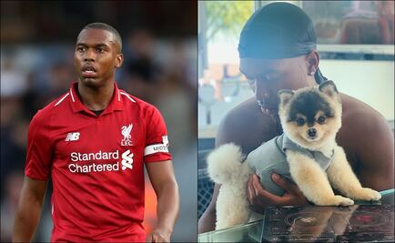 Daniel Sturridge ofrece 33.000 euros a quien encuentre a su perro 