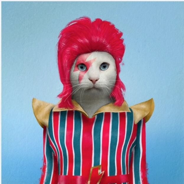 Disfrazan a mascotas de personajes de la cultura pop y se vuelve viral