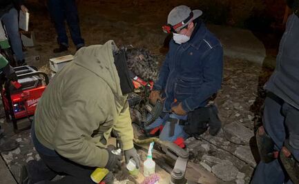 STC realiza mantenimiento en estaciones terminales de Líneas 6 y 7 del Metro; labores se realizan durante las madrugadas