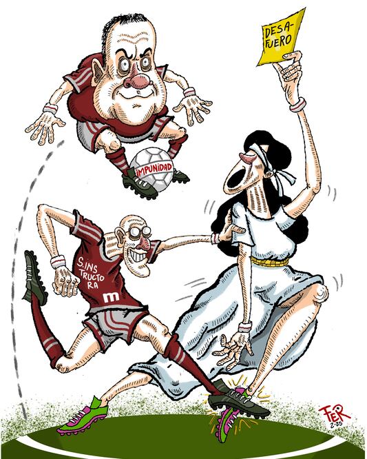 Cartón de FER