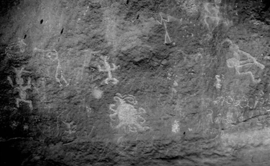 (FOTO: Universidad de Colorado)