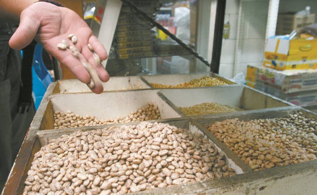 Por la falta de lluvias, en el mercado nacional hay escasez de frijoles negro y pinto. Foto: Archivo/ El Universal.