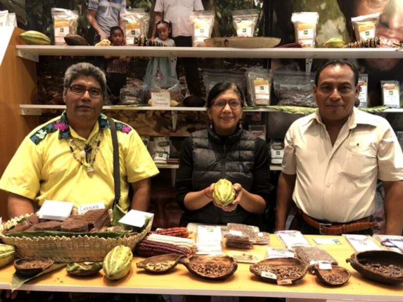 Orgánicos de la Chontalpa une a familias de productores de cacao