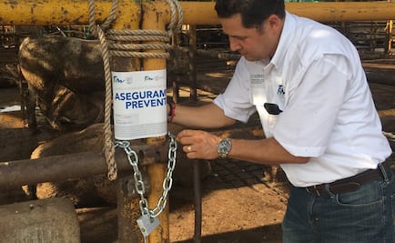 Investigan 16 rastros de Tamaulipas por uso de clembuterol