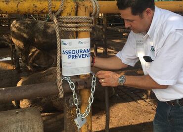 Investigan 16 rastros de Tamaulipas por uso de clembuterol