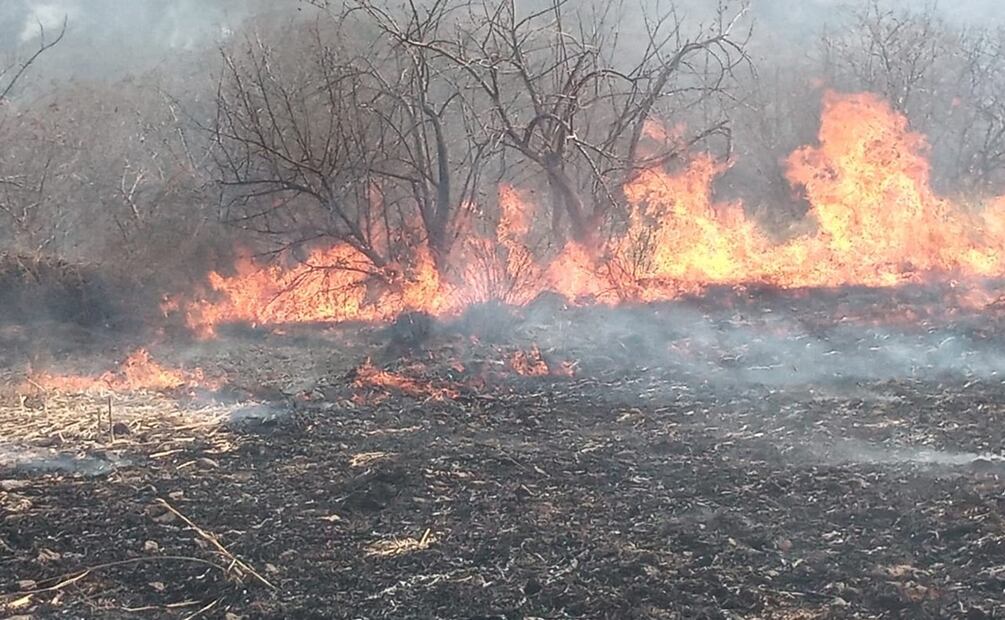 Humo cubre zona metropolitana de Morelos por incendios forestales y urbanos. Foto: Especial