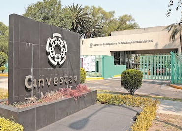 Buscan crear suero contra el Covid-19