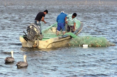 Pescadores de tiburón retaron al mar por necesidad; no volvieron