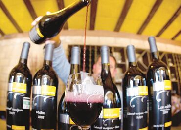 Hallan el vino más viejo del mundo