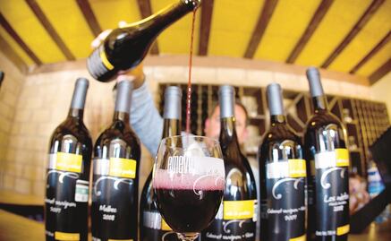 Hallan el vino más viejo del mundo