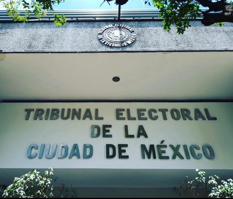Tribunal Electoral desecha juicios en contra de la integración del Comité de Evaluación del Poder Legislativo para la elección judicial. Foto Especial