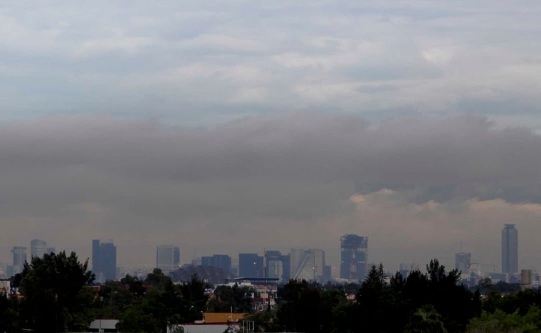 Foto: Archivo / EL UNIVERSAL