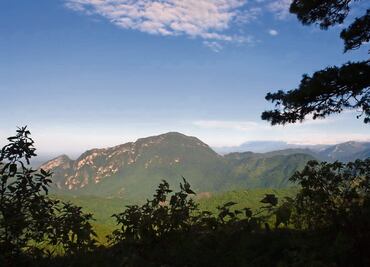 “Los Chimalapas no se resuelve de la noche a la mañana”