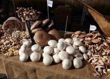 Comer champiñones podría ayudar a combatir el cáncer de próstata
