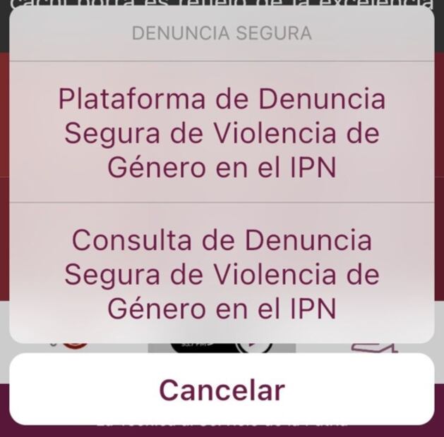 IPN crea app para salvaguardar integridad física de su comunidad