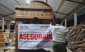 Aseguran 700 metros cúbicos de madera en aserradero de Chiapas; realizan inspecciones contra tala ilegal