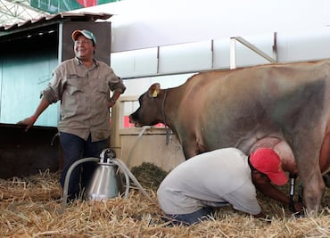 Si termina TLCAN subirá precio de la carne, prevén ganaderos