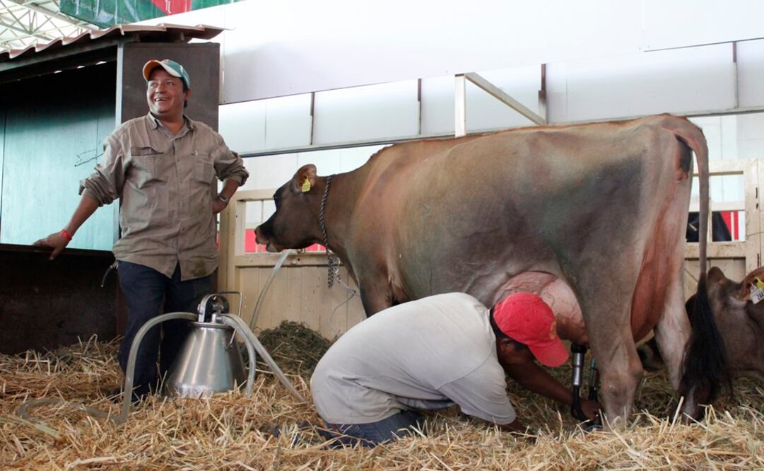 Foto: Archivo / EL UNIVERSAL