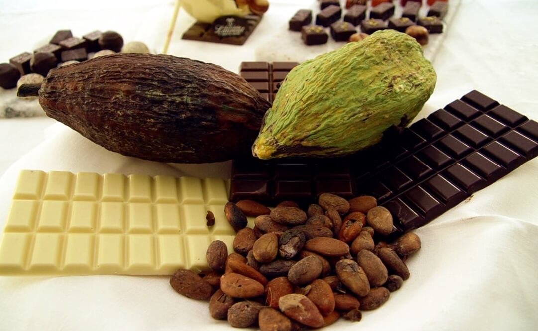 Different kinds of chocolate and cacao – Photo: File photo/EL UNIVERSAL	