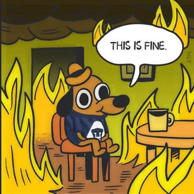 Pumas MEMES