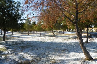 Prevén temperatura de menos 10.5 grados en Durango
