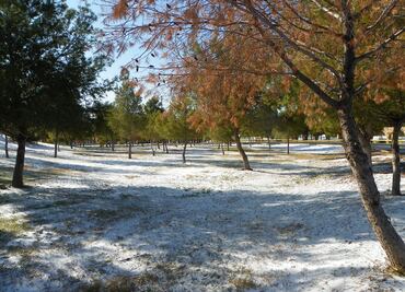 Prevén temperatura de menos 10.5 grados en Durango